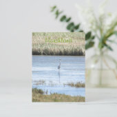 Carte postale - Egret debout fier (Debout devant)