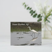 Carte Postale Egret du port de pierre (Debout devant)