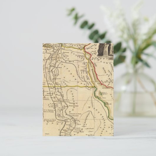 Carte Postale Égypte (Debout devant)