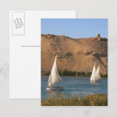 Carte Postale Egypte, Assouan, Nil River, Felucca voiliers, (Devant / Derrière)