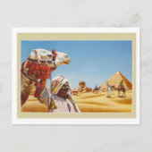 Carte Postale Egypte, badouin avec son chameau devant les pyrami (Devant)