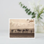 Carte Postale Égypte - Camels - (Debout devant)