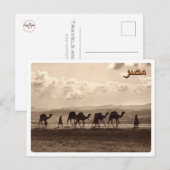 Carte Postale Égypte - Camels - (Devant / Derrière)