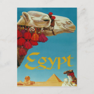 Carte Postale Égypte, chameau dans le désert avec pyramides et s