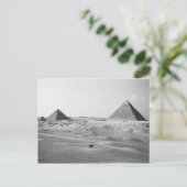Carte Postale Égypte du Caire, Pyramides de Gizeh (Debout devant)