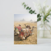 Carte Postale Egypte, Le Caire. Repose des chameaux (Debout devant)