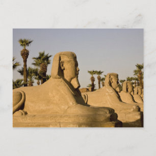 Carte Postale Egypte, Louxor. L'avenue des Sphinxes mène à