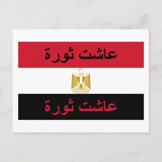 Carte Postale Egypte : "Vive la révolution !" (Devant)
