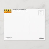 Carte Postale égyptien (Dos)