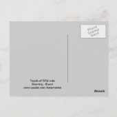 Carte postale égyptienne Mau Mix Joli chat (Dos)