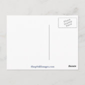 Carte Postale Eider spectaculaire (Dos)