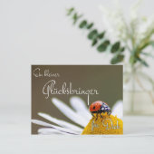 Carte Postale Ein kleiner Glücksbringer für Dich mit Marienkäfer (Debout devant)