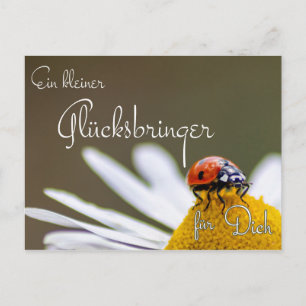 Carte Postale Ein kleiner Glücksbringer für Dich mit Marienkäfer