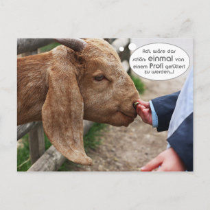 Carte Postale ...einmal von einem Profi gefüttert zu werden...