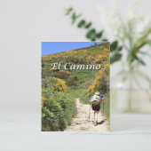 Carte Postale El Camino de Santiago de Compostela, Espagne, sent (Debout devant)