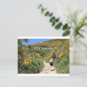 Carte Postale El Camino de Santiago de Compostela, Espagne, sent (Debout devant)