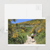 Carte Postale El Camino de Santiago de Compostela, Espagne, sent (Devant / Derrière)