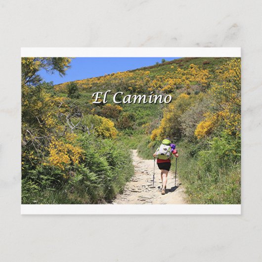 Carte Postale El Camino de Santiago de Compostela, Espagne, sent (Devant)