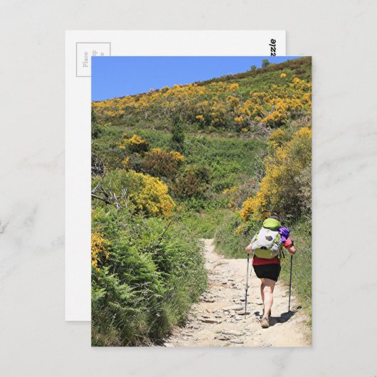 Carte Postale El Camino, Molinaseca à O'Cebreiro, Espagne (Devant / Derrière)