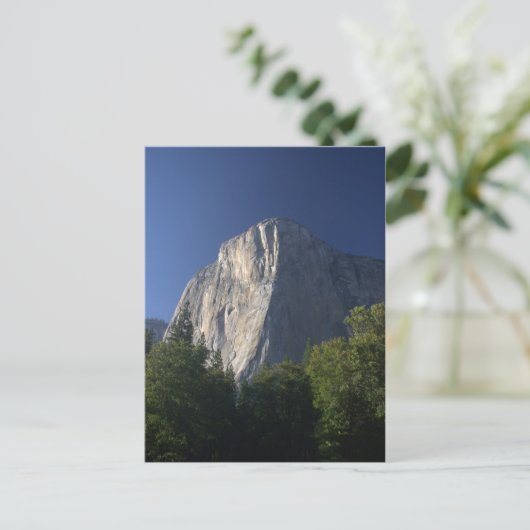 Carte Postale EL Capitan (Debout devant)