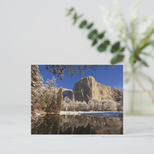 Carte Postale El Capitan réfléchit dans la rivière Merced à (Debout devant)