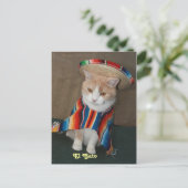 Carte Postale El Gato Bubba (Debout devant)