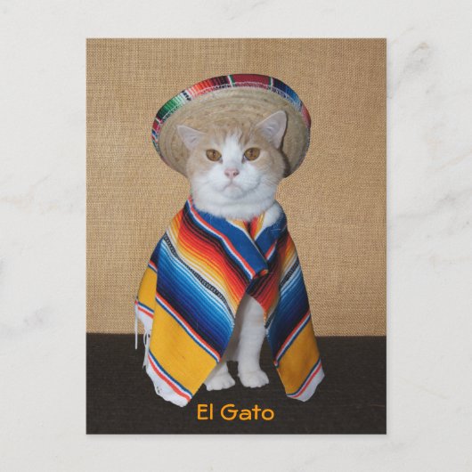 Carte Postale El Gato Chat en Sombrero et Serape (Devant)