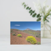 Carte Postale El Teide au printemps (Debout devant)