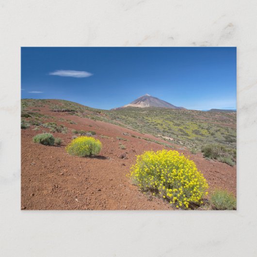 Carte Postale El Teide au printemps (Devant)