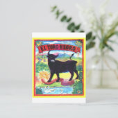Carte Postale El Torro Negro (Debout devant)