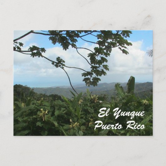 Carte Postale EL Yunque, Porto Rico (Devant)