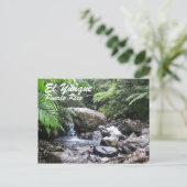 Carte Postale El Yunque, Porto Rico (Debout devant)