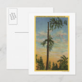 Carte Postale Élagage d'un épicéa géant pour une navigation de 6 (Devant / Derrière)