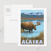 Carte Postale Élan buvant au lac - Fairbanks, Alaska (Devant / Derrière)