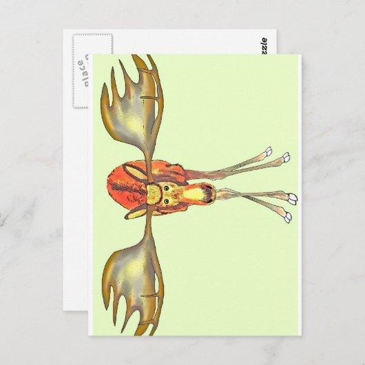 Carte Postale Elch (Devant / Derrière)