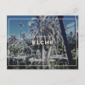 Carte postale Elche (Devant)