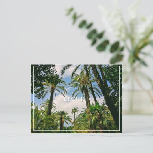 Carte postale Elche (Debout devant)