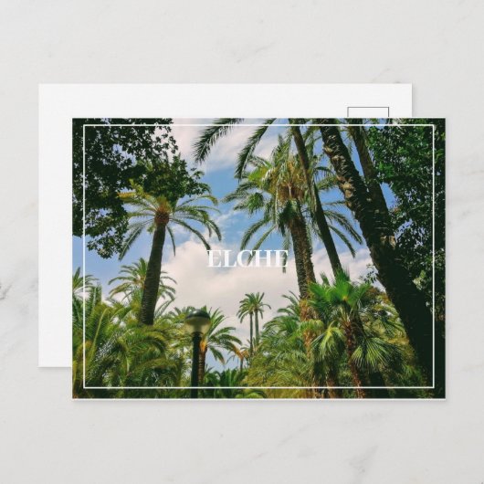 Carte postale Elche (Devant / Derrière)