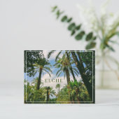 Carte postale Elche  (Debout devant)