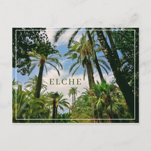 Carte postale Elche  (Devant)