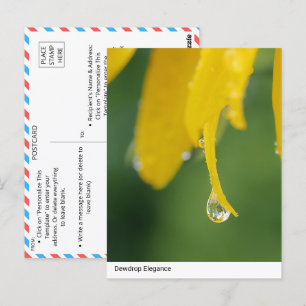 Carte Postale Élégance de la goutte d'eau : Gros plan du pétale