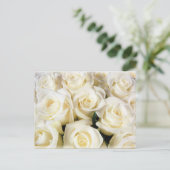 Carte Postale Élégance de la rose blanche (Debout devant)