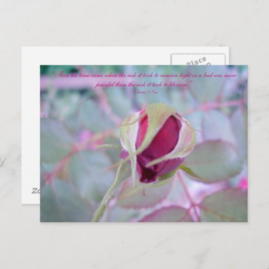 Carte postale Élégance Pure (Devant / Derrière)