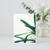 Carte Postale Élégance verte minimaliste (Debout devant)