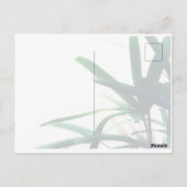 Carte Postale Élégance verte minimaliste (Dos)