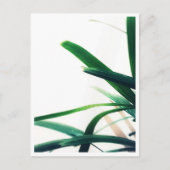 Carte Postale Élégance verte minimaliste (Devant)