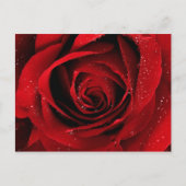 Carte Postale élégant (Devant)