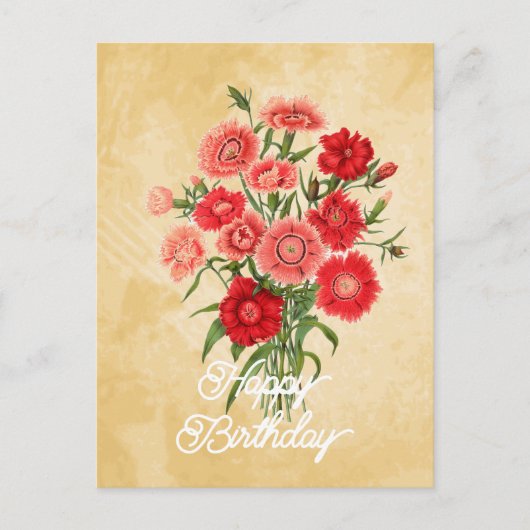 Carte Postale Élégant Anniversaire Fleur de Dianthus Chinensis V (Devant)