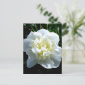 Carte Postale Elégant blanc peony floral blanc photo (Debout devant)