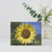 Carte Postale Elégant, brillant été tournesol jaune merci (Debout devant)